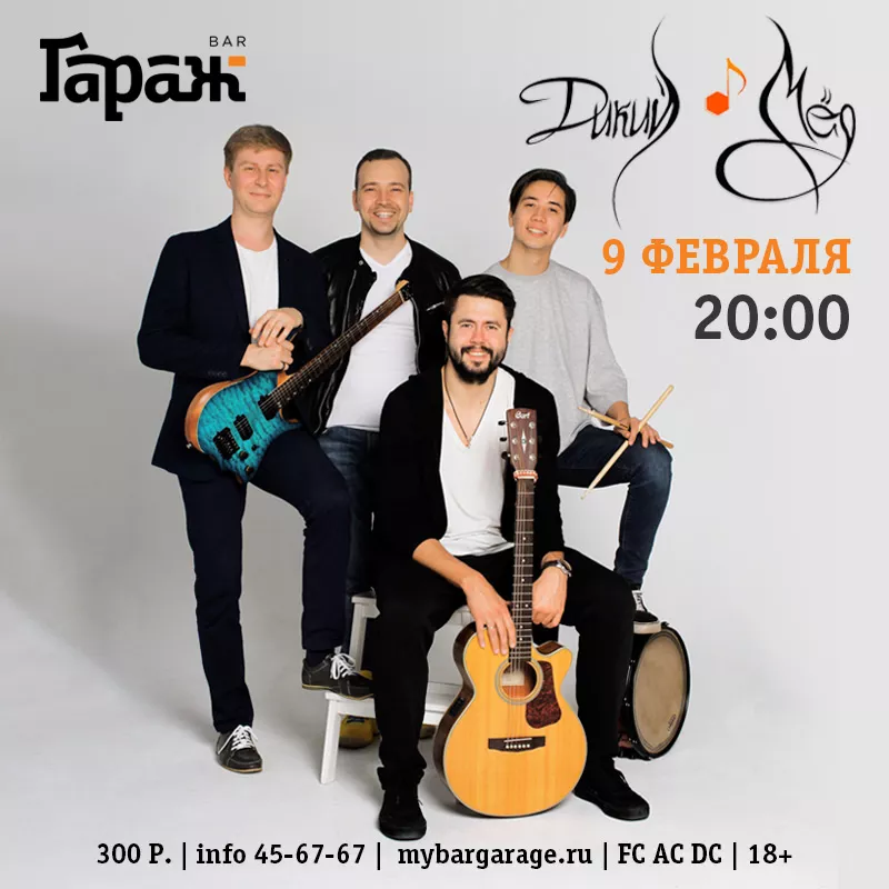 Дикий Мёд (авторский концерт). Бар Гараж